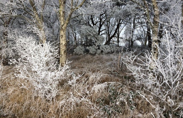 Winterlandschaft um Ferienhaus in Wateren, Westerveld, im schoenen Drenthe.