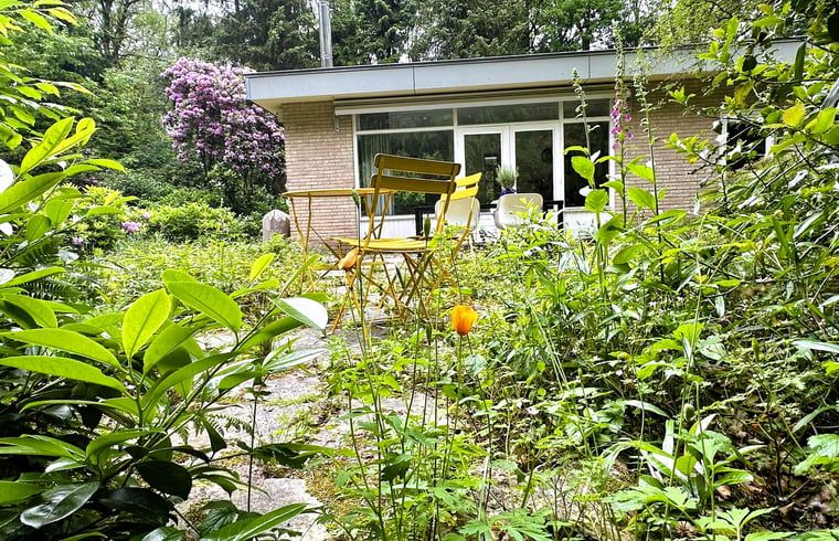Vogelhaus im Garten des Ferienhauses in Wateren, Westerveld, Drenthe, ideal fuer Naturliebhaber.