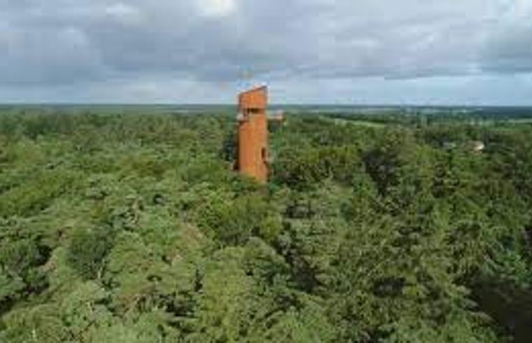 Radfahren durch die Natur rund um das Cottage in Wateren, Westerveld, Drenthe.