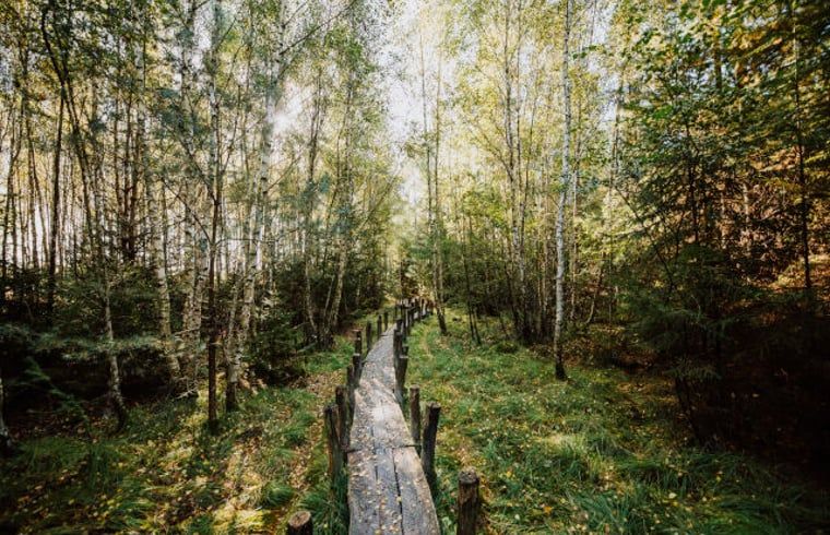 Hunebed bei Sonnenuntergang in der Naehe von Cottage in Wateren, Westerveld, Drenthe.