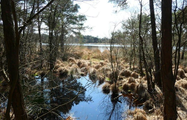 Unterkunft 201917 - Ferienhaus Zuidwest Drenthe - Vakantiehuisje in Wittelte