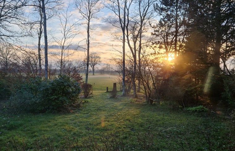 Sunrise at Cottage in Koekange, cottage in Southwest Drenthe, overlooking misty fields and trees.