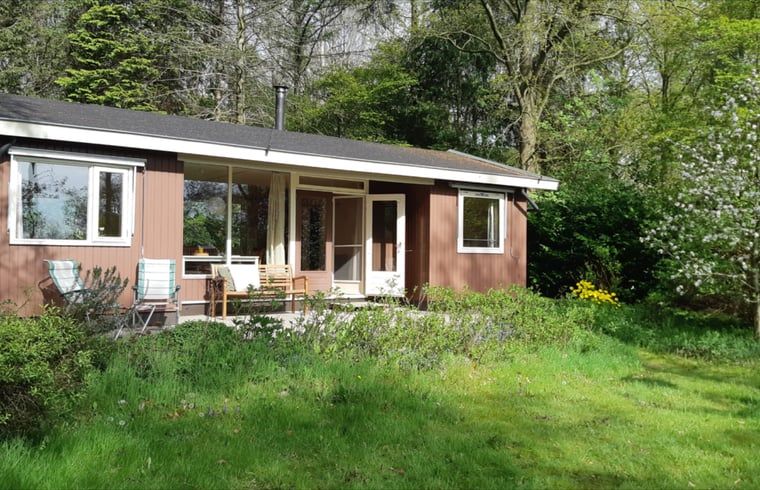 Sunny garden of Huisje in Koekange, vacation home in Southwest Drenthe, with patio chairs and flowers.