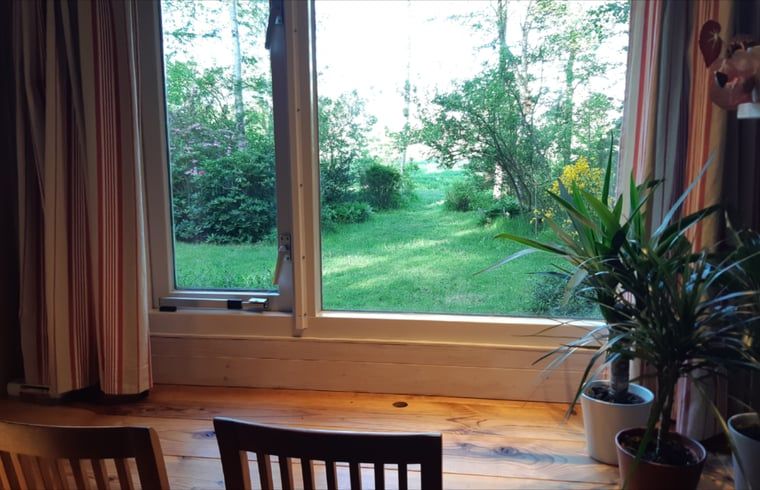 View from the window on the garden in Cottage in Koekange, vacation home in Southwest Drenthe, with lots of greenery.