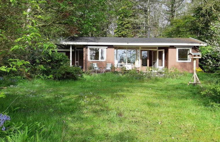 Cottage in Koekange, vacation home in Southwest Drenthe, surrounded by green nature and tranquility.