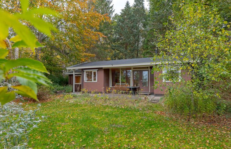 Autumn colors around Cottage in Koekange, vacation home in Southwest Drenthe, with terrace and green surroundings.