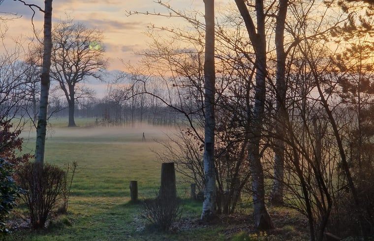 Mysterious morning mist at Cottage in Koekange, vacation home in southwest Drenthe, with serene nature.
