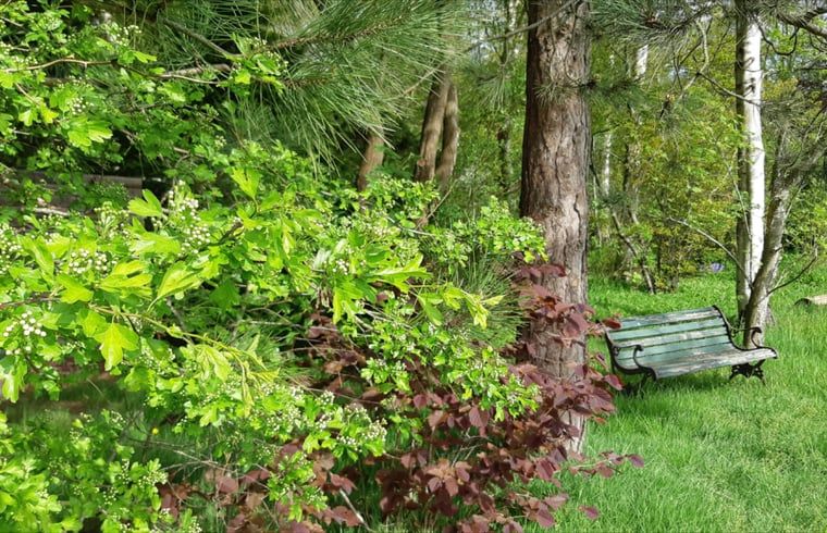 Quiet garden with bench at Cottage in Koekange, vacation home in Southwest Drenthe, ideal for relaxation.