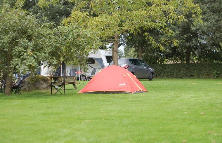 Rode tent op camping bij vakantiehuisje in Koekange, perfect voor een avontuur in Zuidwest Drenthe.