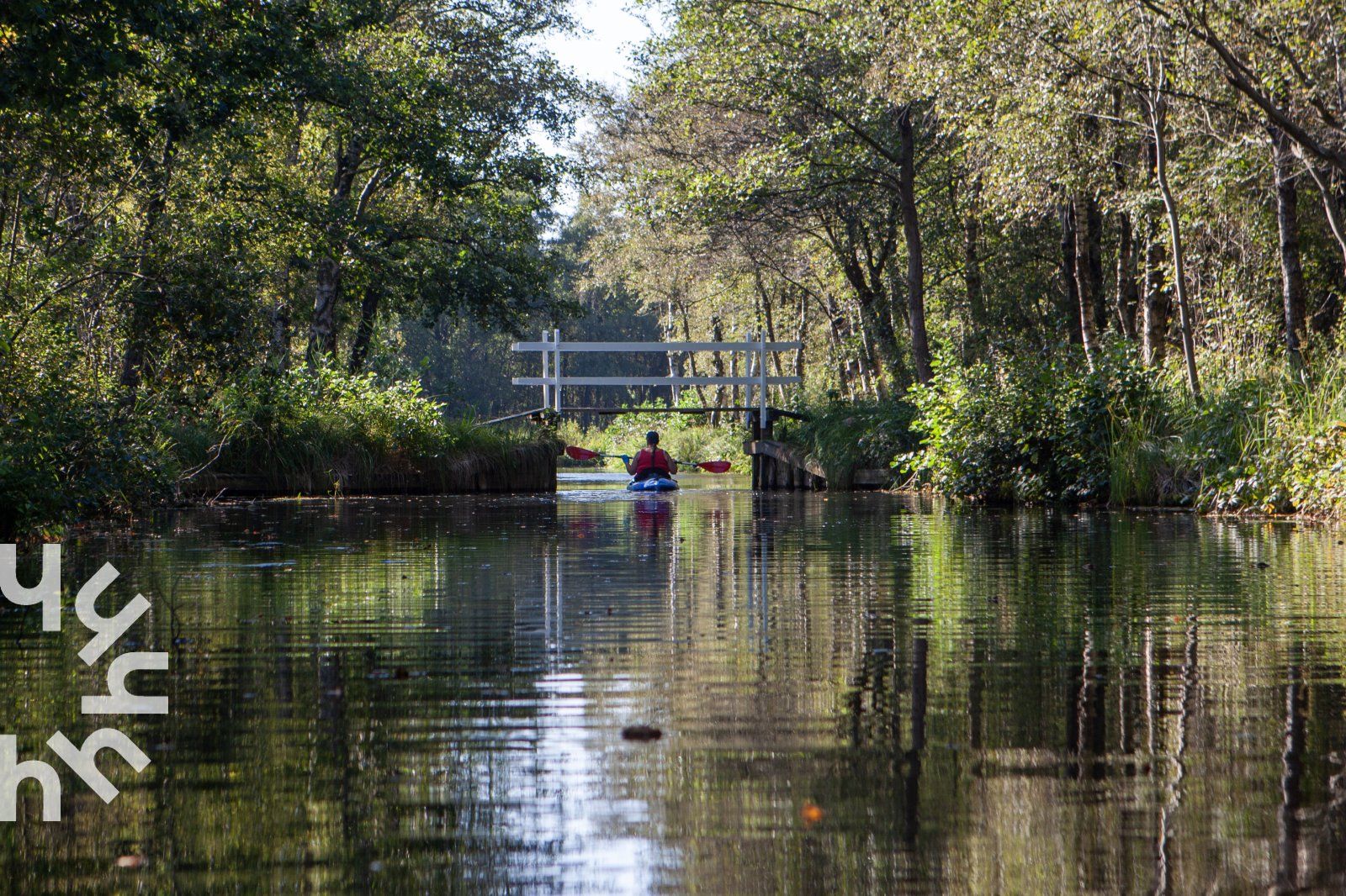 Niedliche Ziegen im Garten des Ferienhauses DG940 in Koekange, Drenthe.