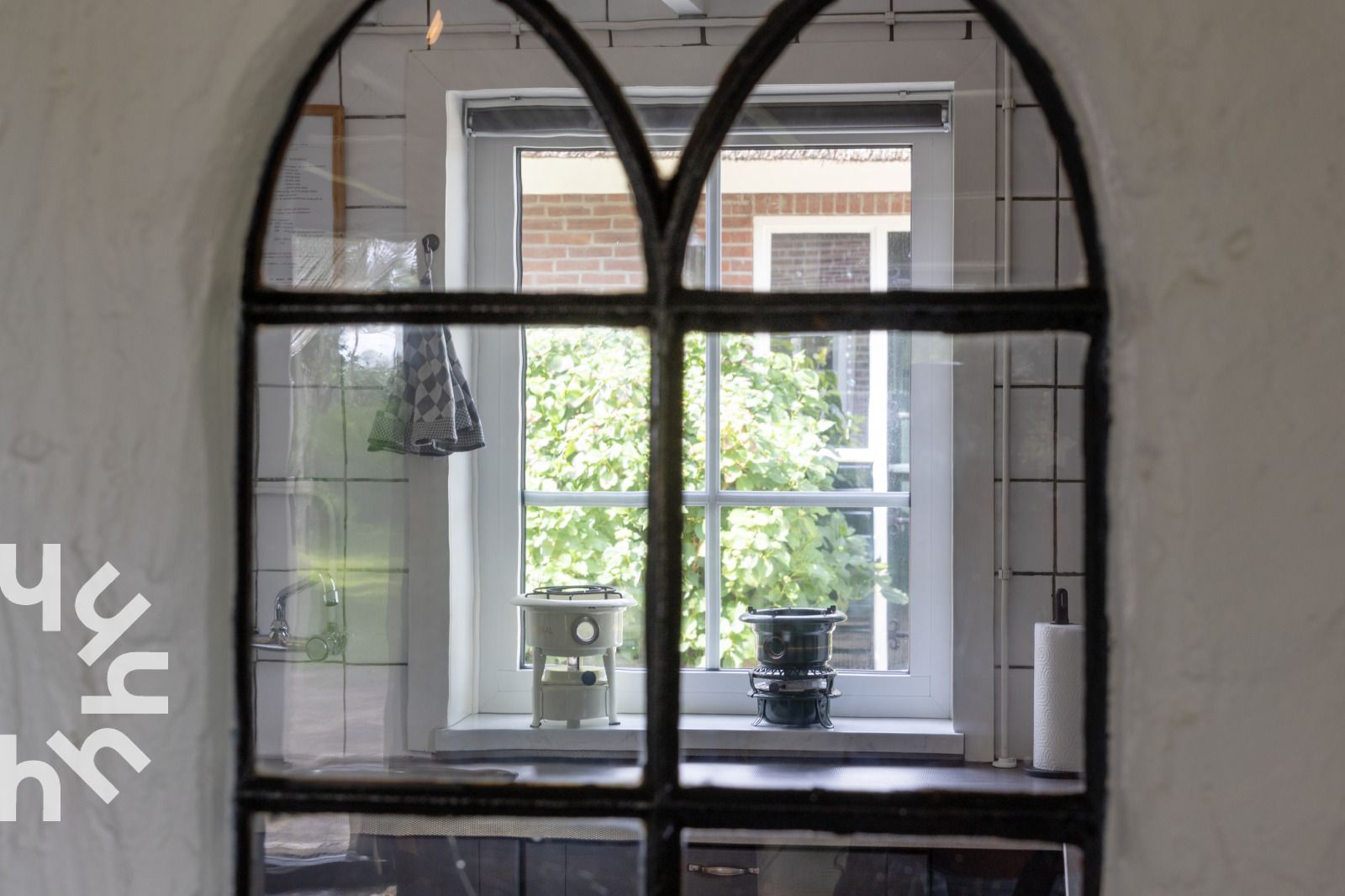 Schoene Kuehe beim Ferienhaus DG940 in Koekange, Drenthe.