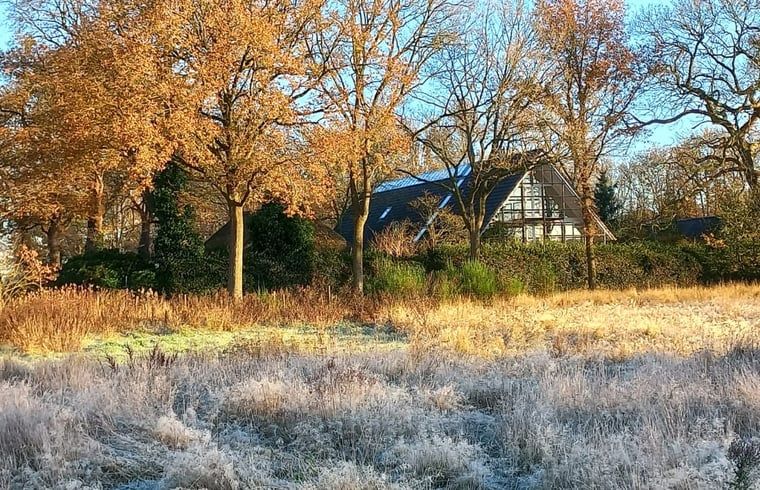 Ferienhaus in Uffelte, Suedwest-Drenthe, versteckt in der Herbstlandschaft, Ferienhaus inmitten der Natur.