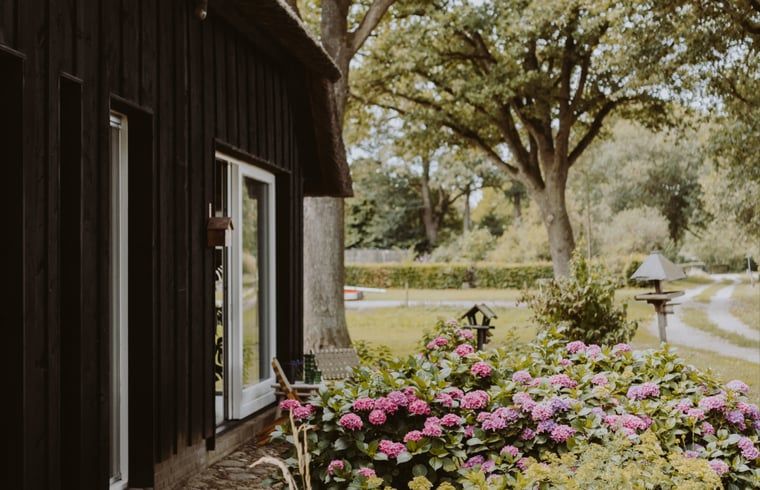 Gemuetliche Veranda im Ferienhaus in Uffelte, Suedwest-Drenthe, mit bunten Blumen und gruener Aussicht.