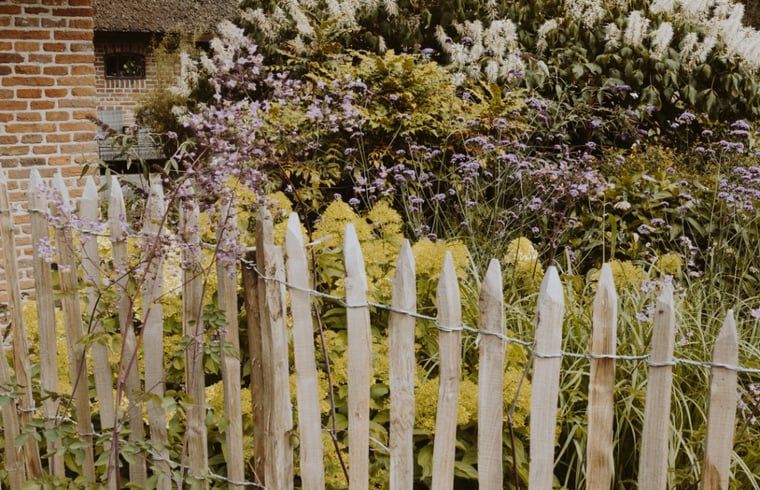 Bluehender Garten im Ferienhaus in Uffelte, Suedwest-Drenthe, mit bunten Blumen und natuerlichem Charme.