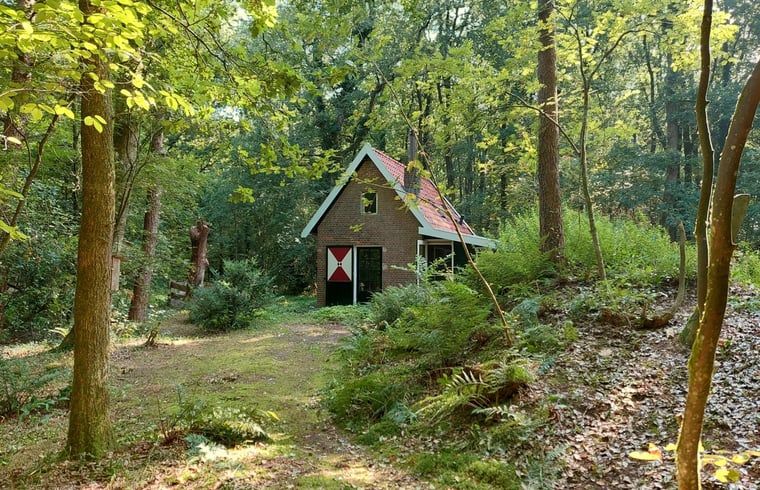 Ferienhaus in Uffelte, umgeben von einer waldreichen Landschaft im Suedwesten von Drenthe, ideal fuer Naturliebhaber.