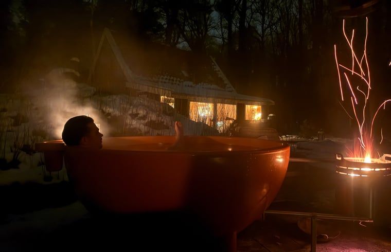 Entspannen Sie sich in einem Aussenpool im Holiday Home in Uffelte, inmitten der ruhigen Waelder von Suedwest-Drenthe.