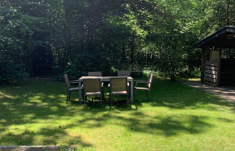 Attraktiver Weg zum Ferienhaus in Uffelte, umgeben von viel Gruen im Herzen von Suedwest-Drenthe.