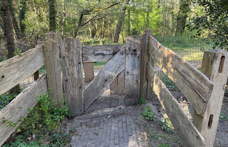Luftaufnahme des Ferienhauses in Uffelte, schoen gelegen in den ausgedehnten Waeldern von Suedwest-Drenthe.