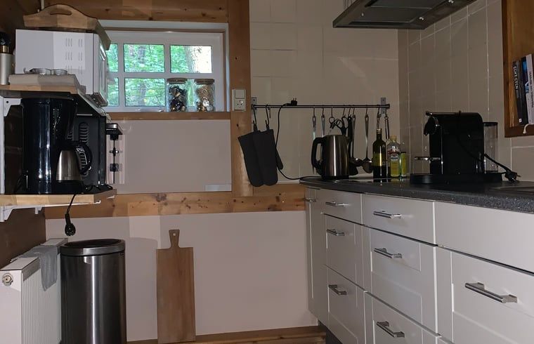 Essbereich mit Blick auf den Garten im Ferienhaus in Uffelte, ideal fuer Mahlzeiten im Suedwesten von Drenthe.