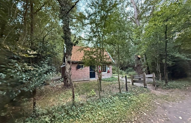 Picknicktisch im Garten des Ferienhauses in Uffelte, ideal fuer Mahlzeiten im Freien in der Natur von Drenthe.