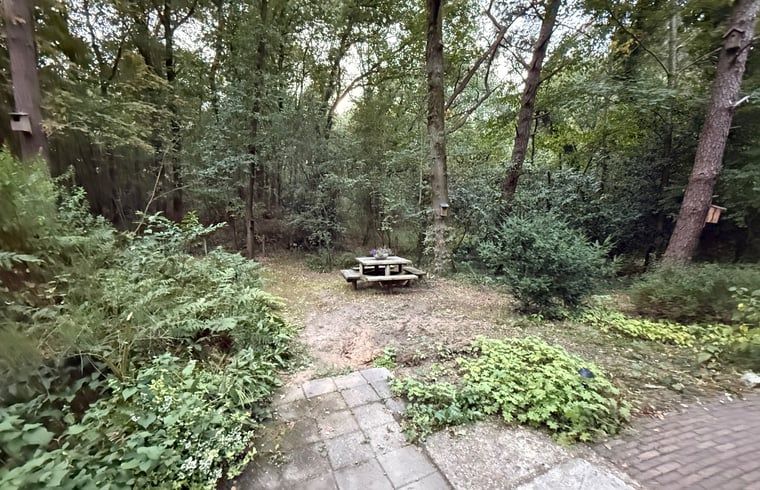 Reiten in der Naehe des Ferienhauses in Uffelte, geniessen Sie die sandigen Ebenen und Waelder von Drenthe.
