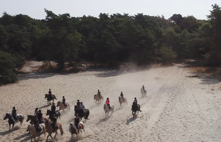 Schwimmbad mit Rutschen in der Naehe des Ferienhauses in Uffelte, ideal fuer einen Tag Wasserspass in Drenthe.