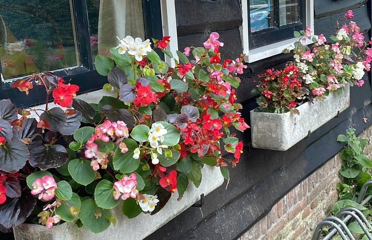 Unterkunft 202216 - Ferienhaus Zuidwest Drenthe - Vakantiehuisje in Uffelte