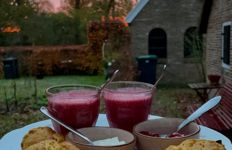 Unterkunft 202216 - Ferienhaus Zuidwest Drenthe - Vakantiehuisje in Uffelte