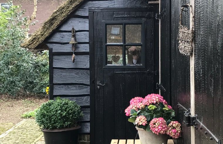 Unterkunft 202216 - Ferienhaus Zuidwest Drenthe - Vakantiehuisje in Uffelte