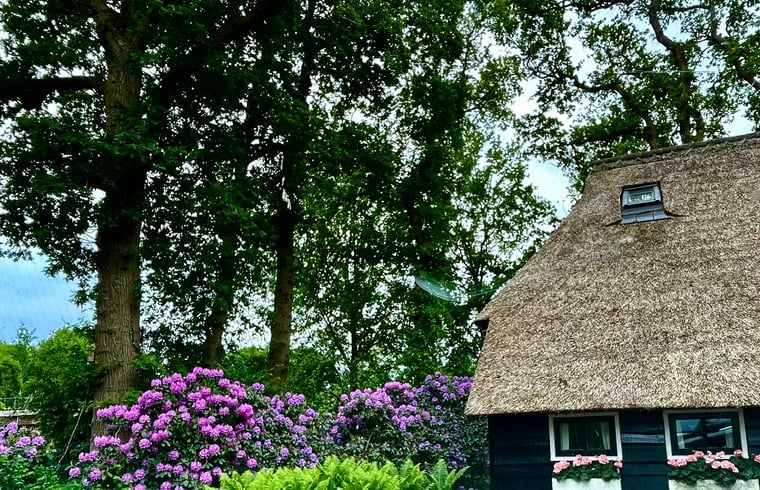 Unterkunft 202216 - Ferienhaus Zuidwest Drenthe - Vakantiehuisje in Uffelte