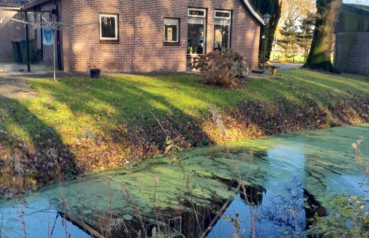 Huisje in Elim, een charmant vakantiehuis in Zuidwest Drenthe, omgeven door serene natuur en een schilderachtig watertje.