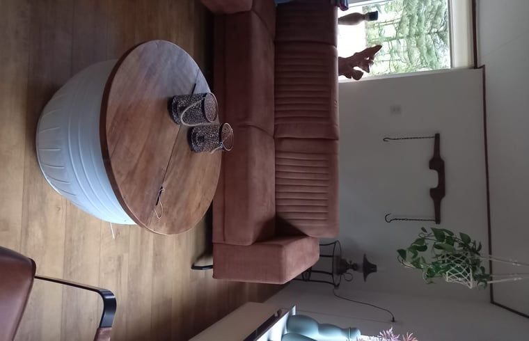 Gezellige woonkamer van Huisje in Elim, vakantiehuis in Elim, Zuidwest Drenthe met comfortabele bank en houten tafel, omgeven door natuur.