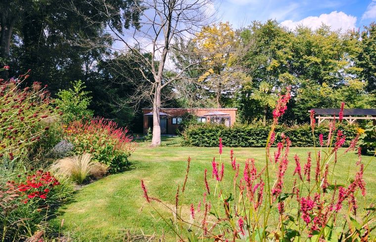 Bloemrijke tuin bij Huisje in Elim, bed and breakfast in Elim, Zuidwest Drenthe, met kleurrijke bloemen.