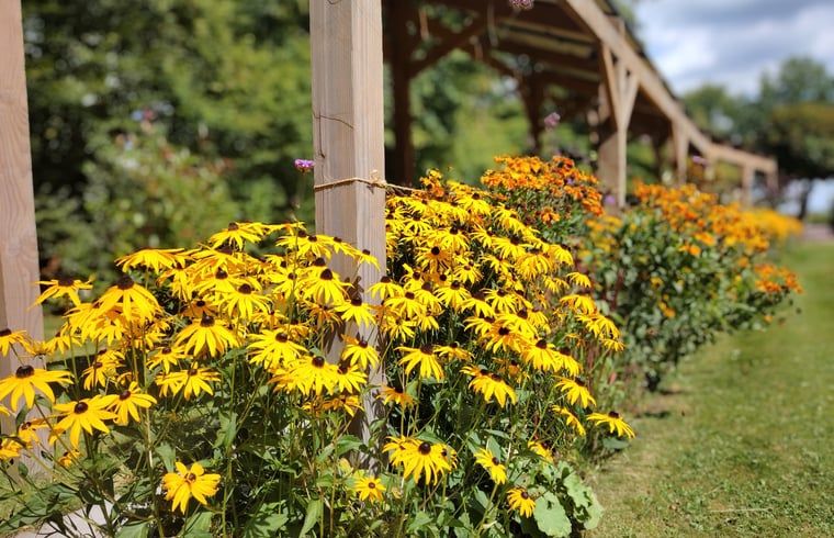 Zonnige tuin van Huisje in Elim, bed and breakfast in Elim, Zuidwest Drenthe, met veel ruimte en natuur.