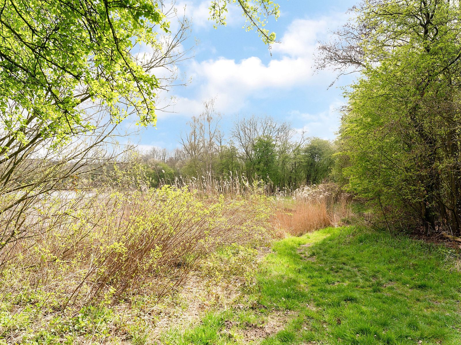 Guest house 202508 - Holiday property Zuidwest Drenthe - Okken House 3A