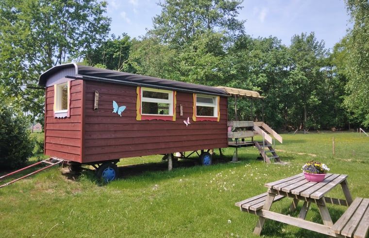 Charmante houten vakantiehuis in Elim, Drenthe, omringd door groen en rustieke picknicktafel.