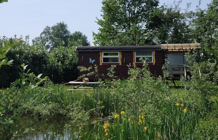 Vakantiehuis in Elim, Drenthe, met uitzicht op een vijver en weelderige natuur.