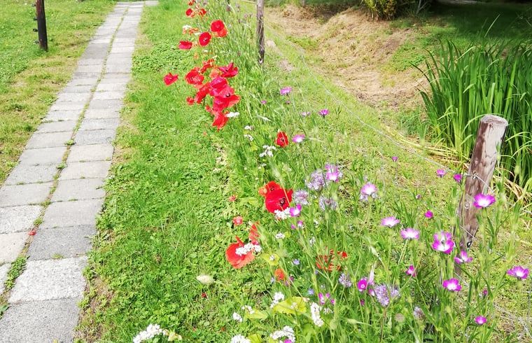 Verblijf 202514 - Vakantiewoning Zuidwest Drenthe - Vakantiehuis in Elim