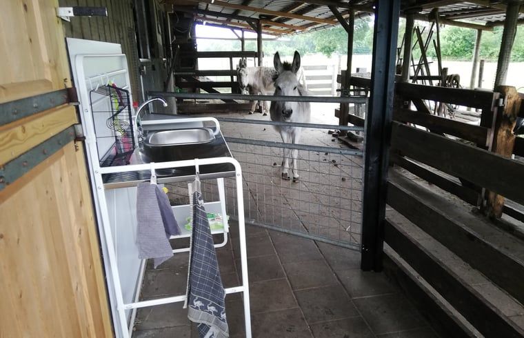 Verblijf 202514 - Vakantiewoning Zuidwest Drenthe - Vakantiehuis in Elim