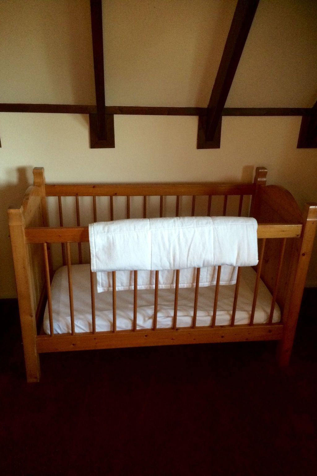 Unterkunft 202814 - Ferienhaus Zuidwest Drenthe - Vakantiehuis Ferienvilla mit Sauna und Whirlpool