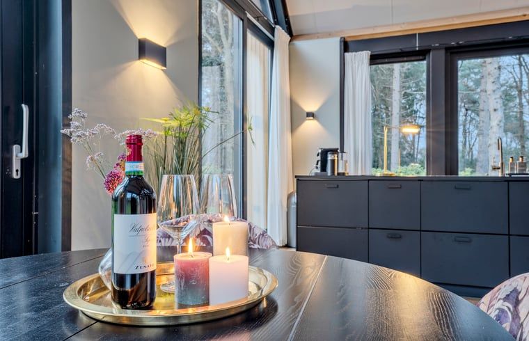 Unterkunft 203014 - Ferienhaus Zuidwest Drenthe - Vakantiehuisje in Ansen