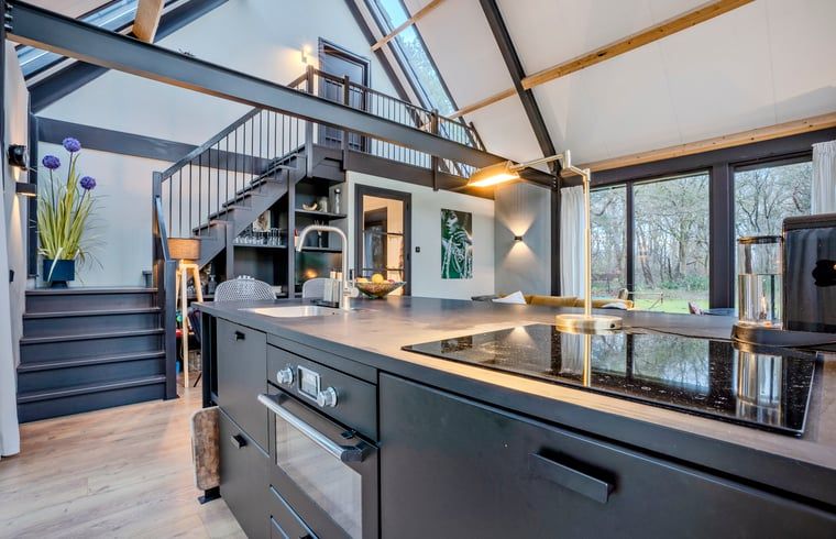 Unterkunft 203014 - Ferienhaus Zuidwest Drenthe - Vakantiehuisje in Ansen