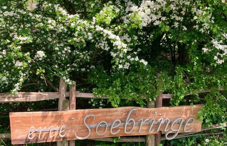 Holzschild am Eingang eines Ferienhauses in Ansen, Suedwest-Drenthe.