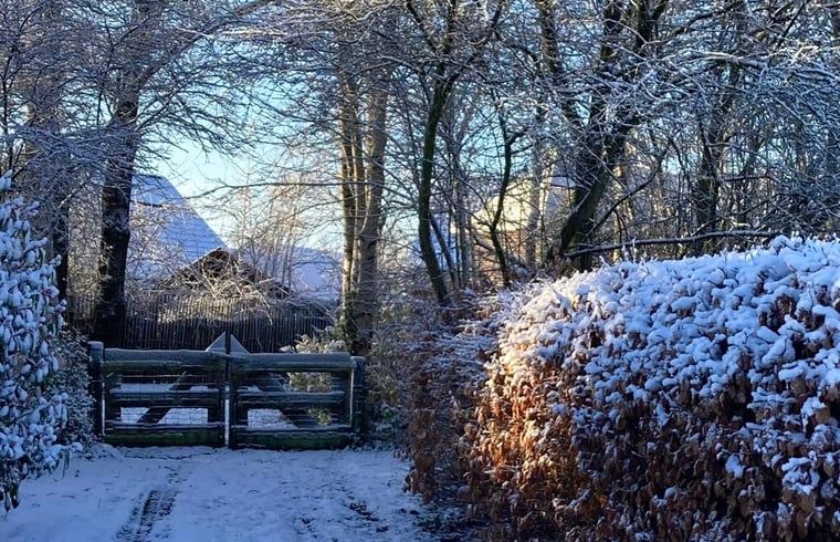 Verschneite Landschaft rund um ein Ferienhaus in Ansen, Suedwest-Drenthe im Winter.