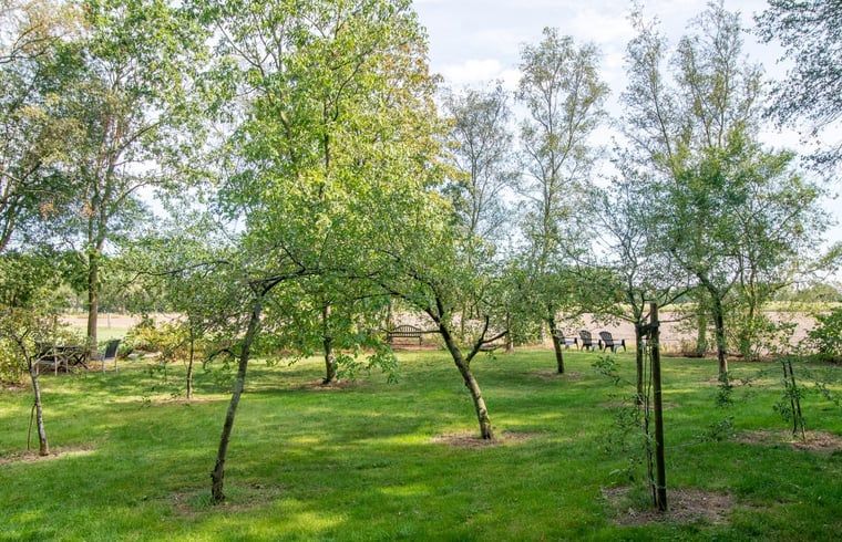 Groene tuin bij Huisje in Veeningen, vakantiehuis in Drenthe.