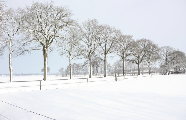 Winterlandschap rondom Huisje in Veeningen, vakantieaccommodatie in Zuidwest Drenthe.