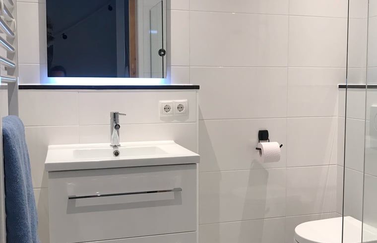 Stijlvolle badkamer in Huisje in Frederiksoord, een vakantiehuis in Zuidwest Drenthe met moderne voorzieningen.