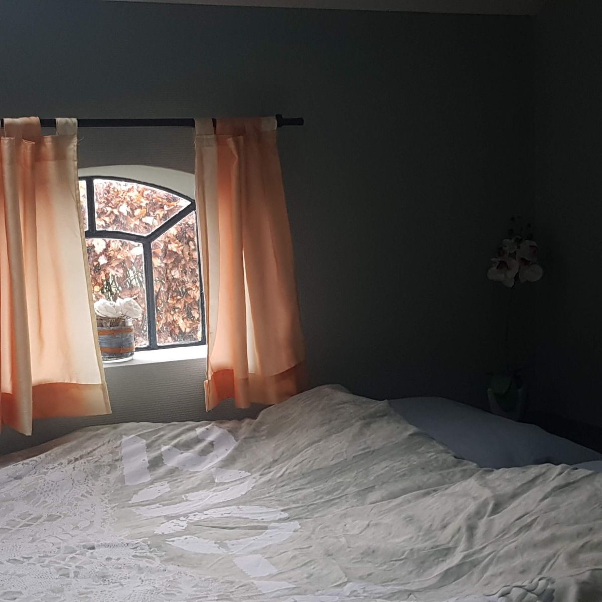 Entdecken Sie die ruhige, waldreiche Umgebung des Ferienhauses DG2026 in Dieverbrug, im Suedwesten von Drenthe, ideal fuer Naturliebhaber.