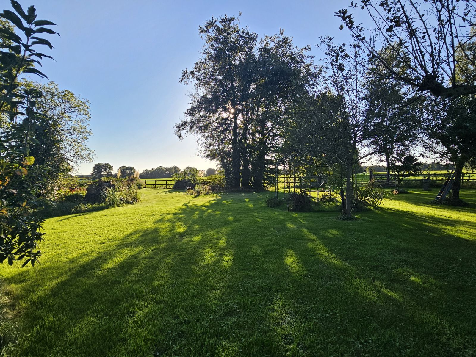 Winterlicher Charme im Ferienhaus DG2026 in Dieverbrug, im Suedwesten von Drenthe, umgeben von verschneiter Natur und einer rustikalen Holzsauna.