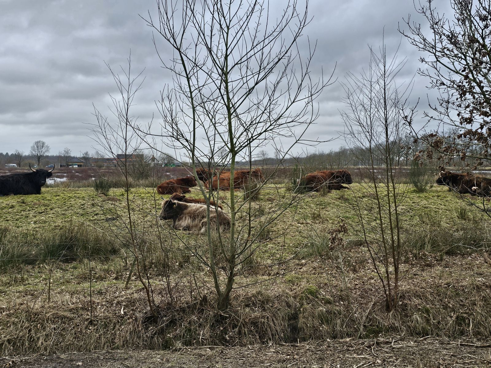 Gemuetliche Kueche im Ferienhaus DG2026, Dieverbrug, Suedwest-Drenthe. Geniessen Sie einen stimmungsvollen Innenraum mit modernen Annehmlichkeiten.